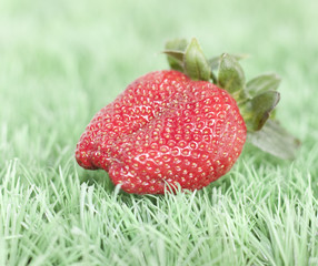 la fraise sur l'herbe