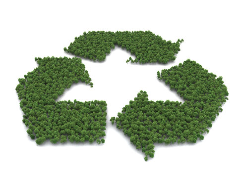 recycling bäume, recycling trees