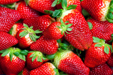 background of red big juicy ripe strawberries