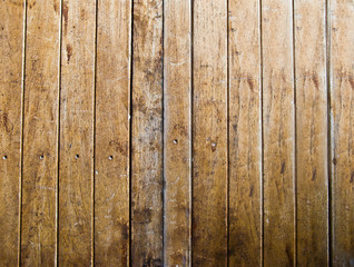 The Old wood texture