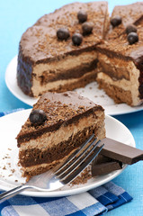 Homemade chocolate cake close-up