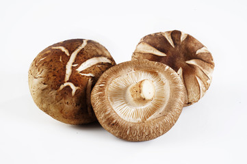three mushroom on white background