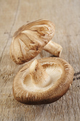 two mushrooms on wood background