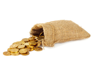 Bag with gold coins - 30727118