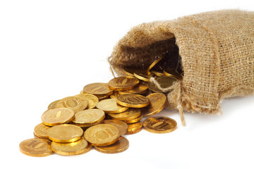Bag with gold coins - 30727133