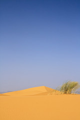 Fototapeta na wymiar on the top of sand dune