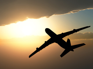 The airplane