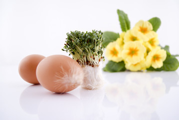 Easter Decoration © imaginelen