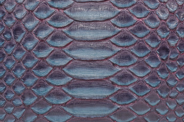 Genuine python leather