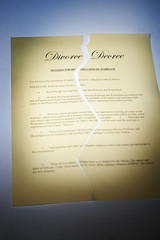 divorce decree document ripped in two