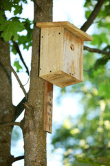 starling house
