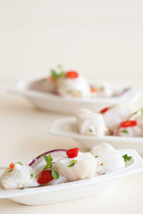 Fresh ceviche
