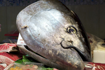 Thunfischkopf auf dem Markt Mercat de Sant Josep de la Boqueria in Barcelona