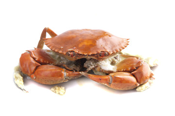 cooked crab