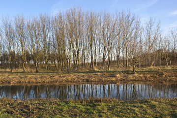 springtime landscape