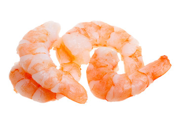 prepared shrimp isolated