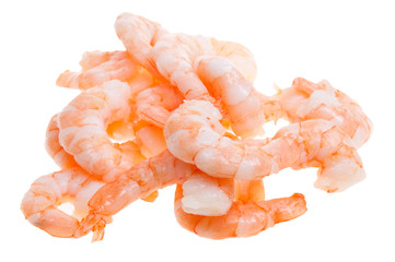 prepared shrimp isolated