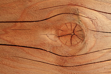 texture of wood