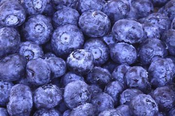 Blueberries close-up