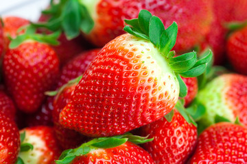 background of red big juicy ripe strawberries