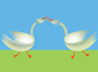 Fighting geese, abstract