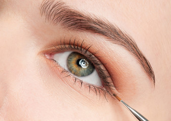 Beautiful young adult woman applying cosmetic shadow brush