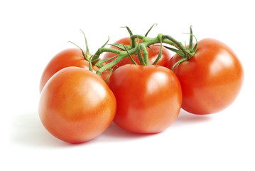 tomato