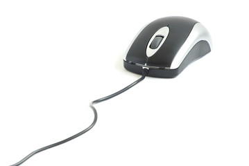 computer mouse