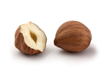Hazel nut