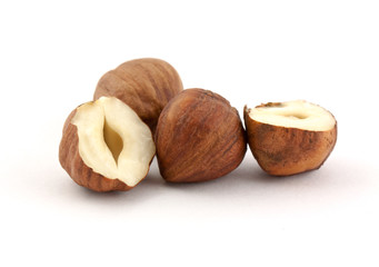 Hazel nut