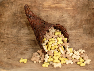 Hundefutter
