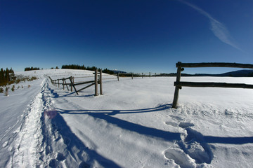 zimowe pastwisko 2 © GKor