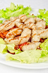 Dish of roasted filet pikeperch