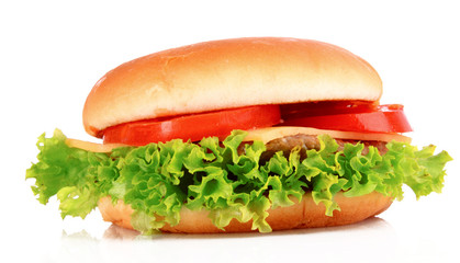 Sandwich isolated on white