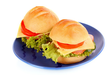 Sandwich isolated on white