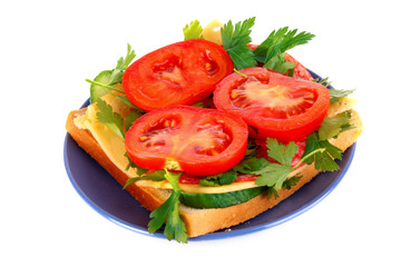 Sandwich  isolated on white