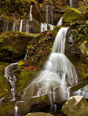 Place of a Thousand Drips in Smokies