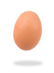 Egg
