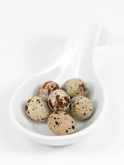 Quail Eggs