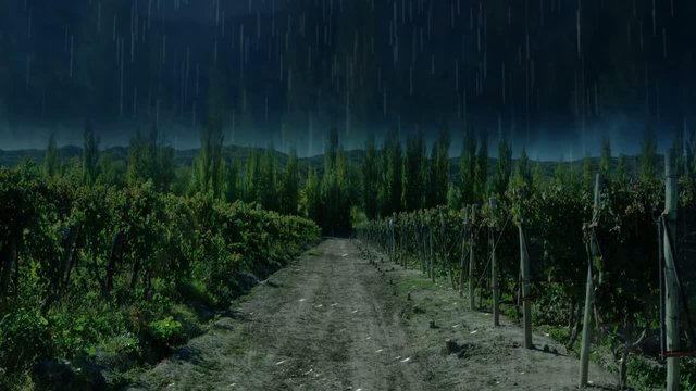 Rain to sunshine