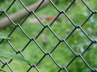 Fototapeta premium Maschendraht