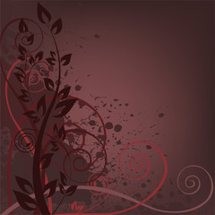 dark background spattered with plant composition