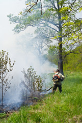 Suppression of forest fire 68
