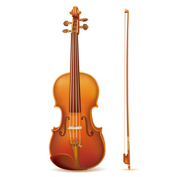vector violin isolated on white