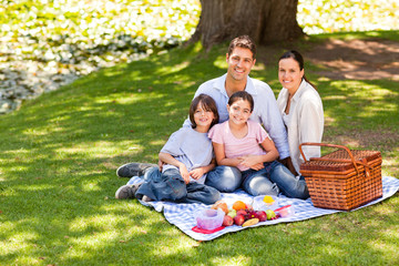 Joyful family picnicking in the park