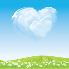 Flowers – daisies in the grass – blue sky – heart shaped  cloud - 30766191