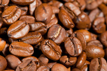 Closeup of coffee beans