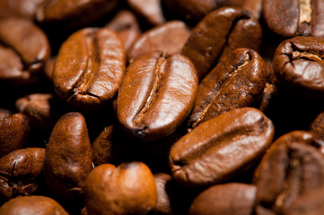 Closeup of coffee beans