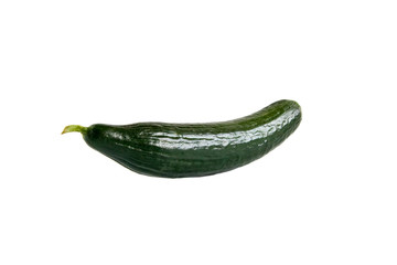 Cucumber