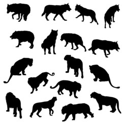 Set of wolves, tigers, leopareds and lions silhouettes